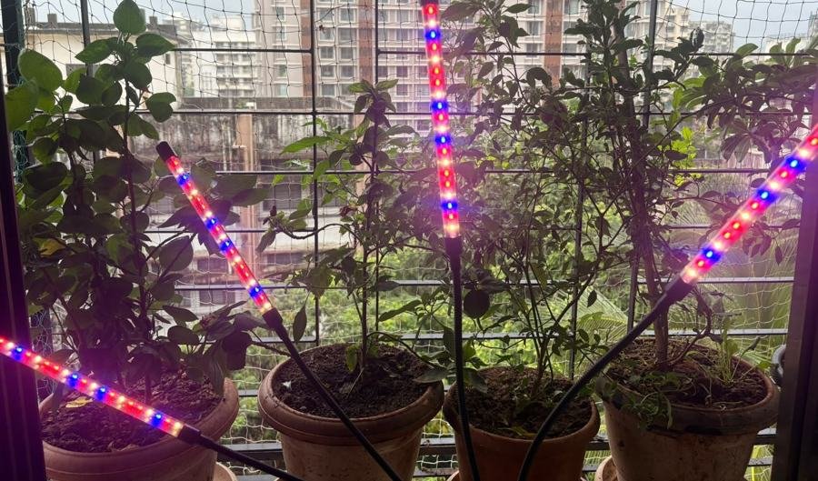 LED Grow Light