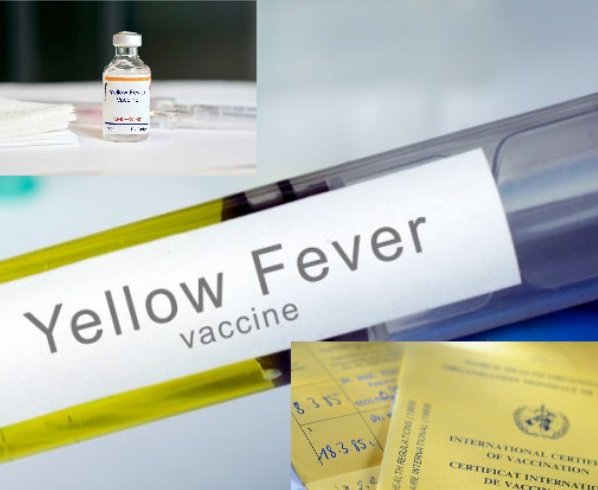 Vaccination